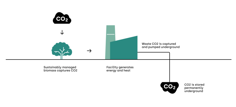 Carbon mineralization concept diagram